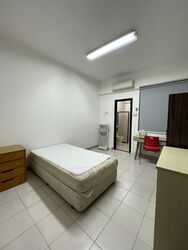 Bartley Road (D19), Terrace #448460561